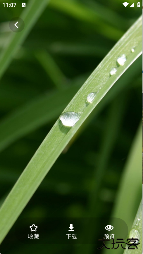 茄子漫画壁纸高清版下载 v1.1