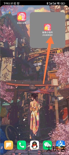 鲸鱼小组件(Whale Widget)