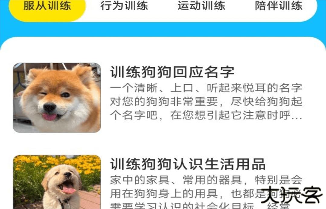 动物对话翻译器