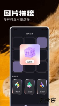布偶相机正式版下载 v8.8.2