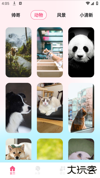 尚美壁纸app最新版