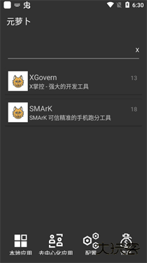 元萝卜虚拟框架下载 v1.0.12