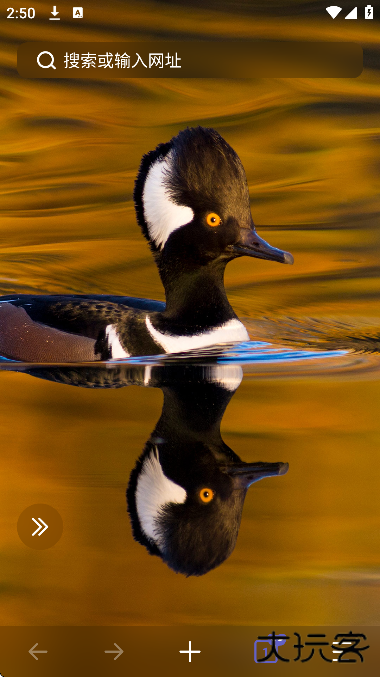 乐感浏览器安卓版下载安装 乐感浏览器安卓版下载安装
