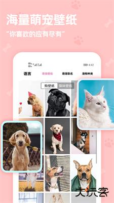 动物语言翻译器下载 v2.3.8
