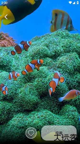 九天壁纸app下载 九天壁纸app下载