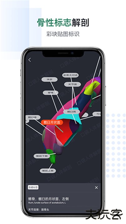 口袋人体解剖下载 v3.1.13