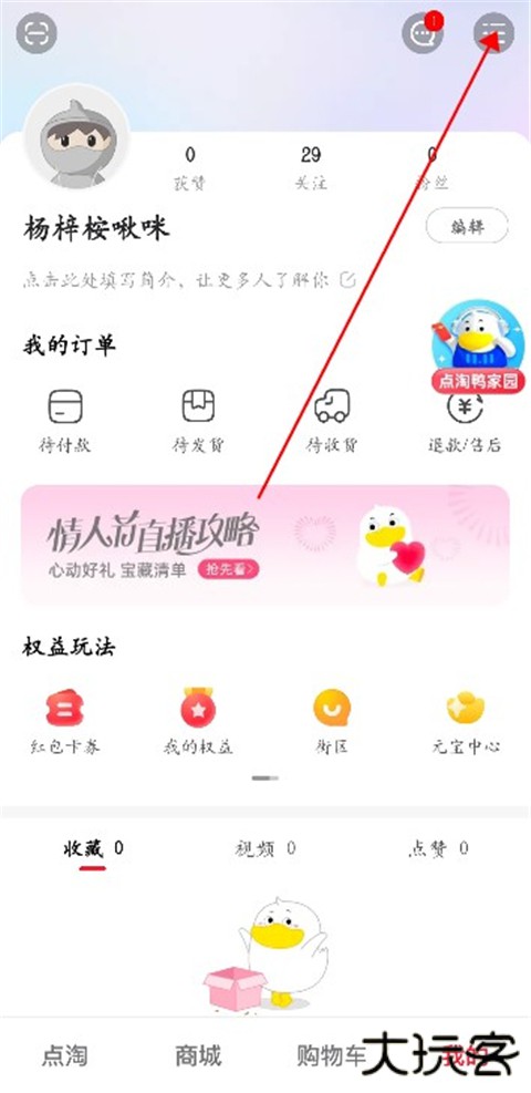 点淘app
