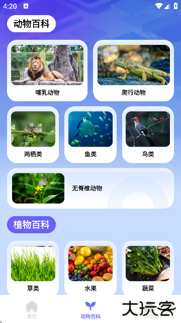 动物拍照识别app下载安装官方版本