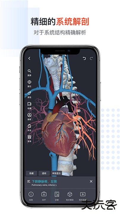 口袋人体解剖下载 v3.1.13