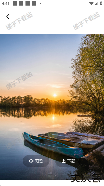 海豚壁纸app下载手机版