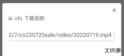 realplayer从URL下载视频