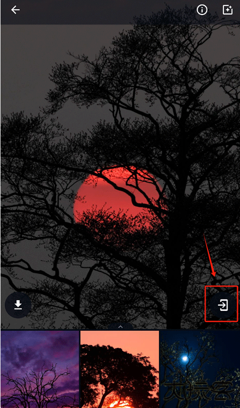 Wallcraft手机版官方下载