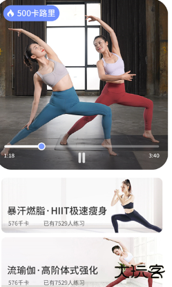 每日瑜伽安卓版