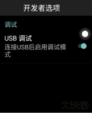 华强北开发者模式app手机版