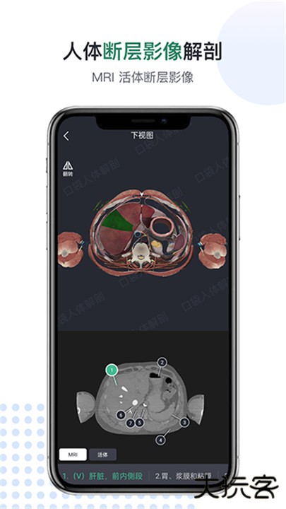 口袋人体解剖下载 v3.1.13