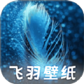 飞羽壁纸app手机版下载下载 v1.0.0