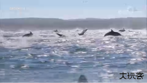 澜露TVapp最新版下载