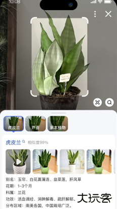 简单搜索老版本