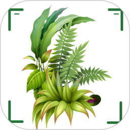 识万物扫一扫app官方正版下载下载 v1.11