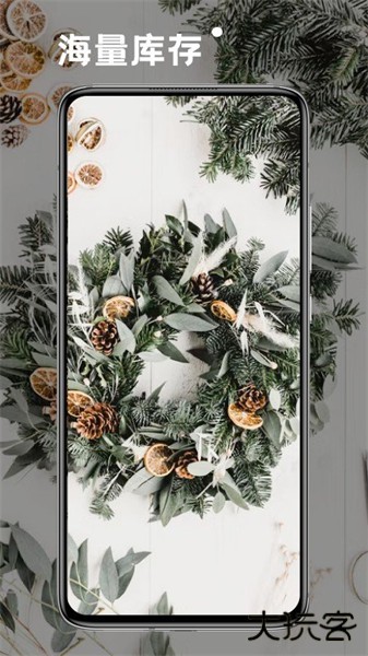 小熊桌面壁纸安卓手机版