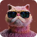 画质云吃鸡助手下载 120