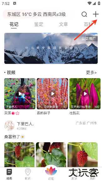 花伴侣下载拍照识花2025