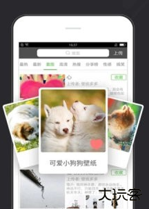 全自动壁纸软件