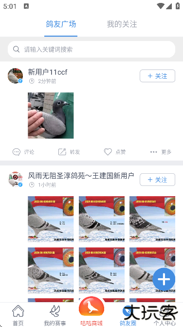 咕咕信鸽app下载安装最新版本