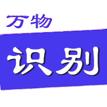 万物识别下载 v2.1.63.240603