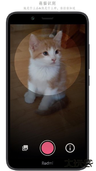 万物识别下载 v2.1.63.240603