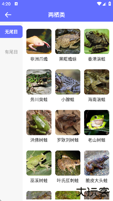 动物拍照识别app下载安装官方版本