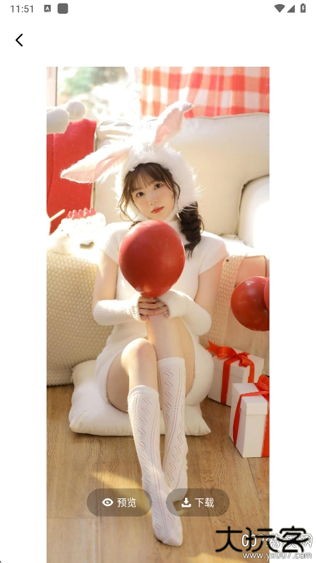 海豚动态壁纸组件下载 v1.1