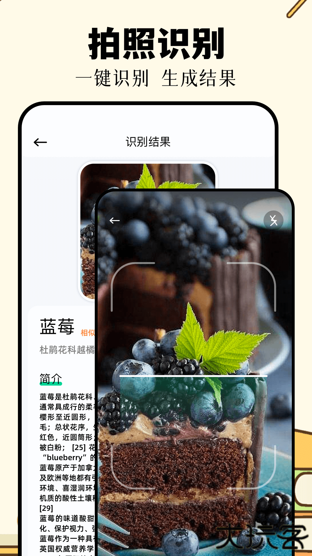 识万物扫一扫app官方正版下载下载 v1.11