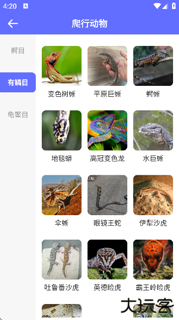 动物拍照识别app下载安装官方版本