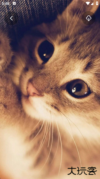 狗叫翻译器app官方版下载