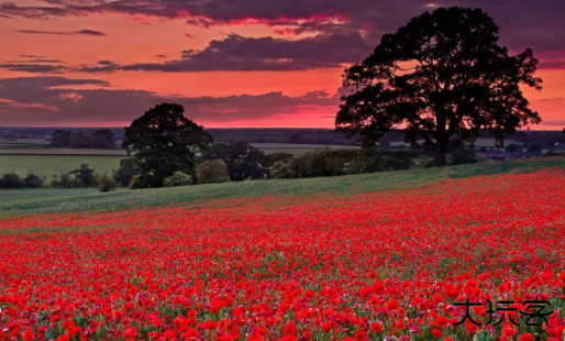 滴答相机安卓版下载 v1.0.0