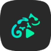 蜥蜴音乐播放器软件下载 v6.8.0