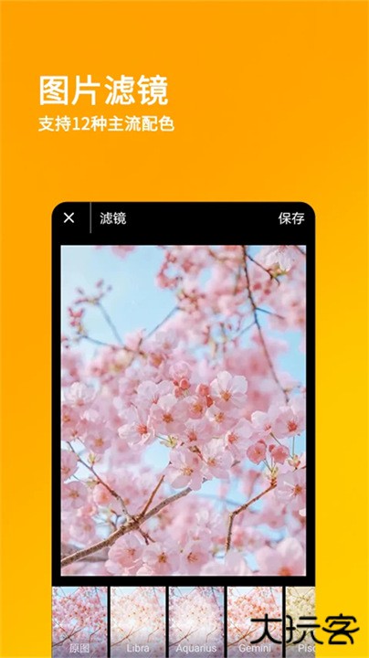 刷圈兔p图下载 2025