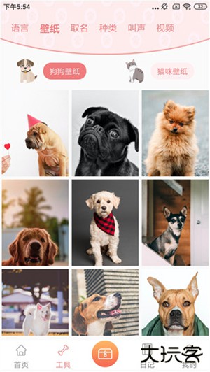 动物语言翻译器