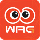 看个比赛下载 v2.2.5