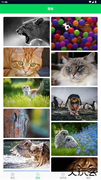 我的铃声制作助手