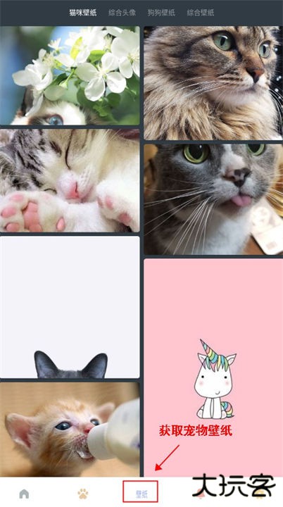 宠物语音翻译器app