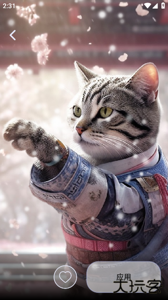 九天壁纸app下载 九天壁纸app下载