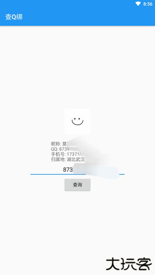 查q绑在线查询工具免费下载下载 v1.4