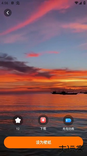 遇见动态壁纸app安卓版下载