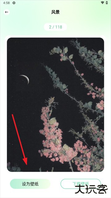 荷花壁纸手机壁纸