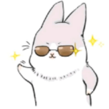 强哥影视仓app最新版本下载安装安卓下载 v5.0.13