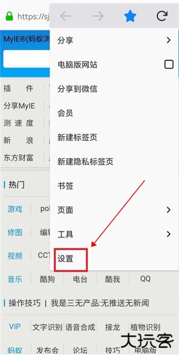 蚂蚁浏览器先锋版