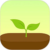 forest专注森林app下载 v4.89.1