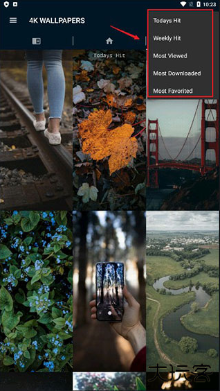 4K Wallpapersapp最新版下载